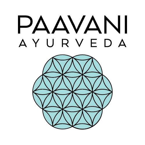 Logo_Pitta_537f18af-537c-4679-aea4-2ab8901b1a17